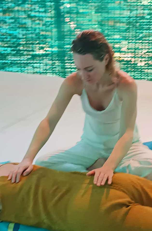 reiki treatments by Swami Prakash